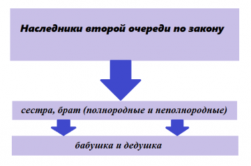 Наследники второй очереди. Наследники 2 очереди. Наследниками второй очереди являются. Наследники второй очереди по закону после смерти. Правопреемники второй очереди.